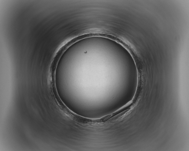 X0000116611070200912111129