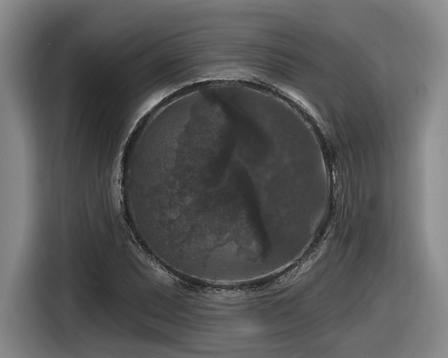 X0000116611071200912111129