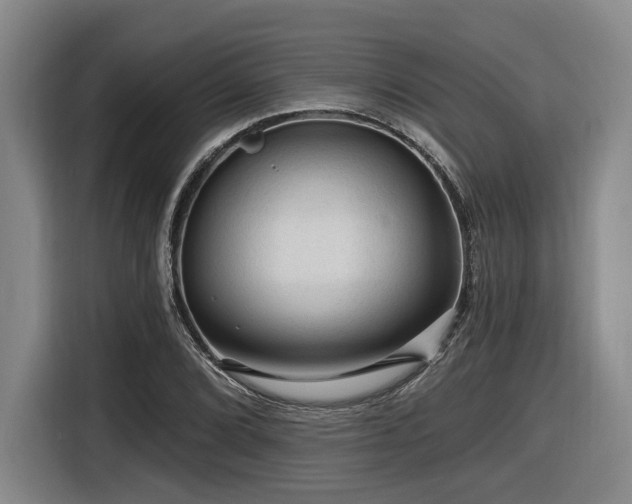 X0000116611072200912111129