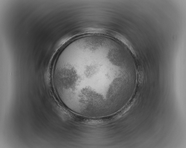 X0000116611074200912111129