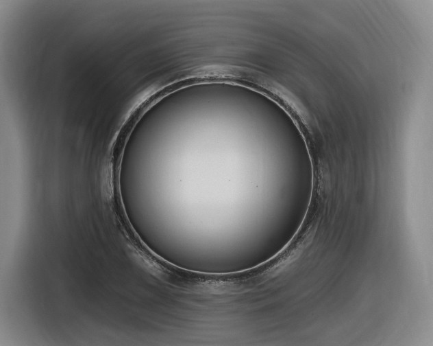 X0000116611075200912111129