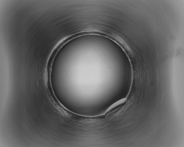X0000116611076200912111129