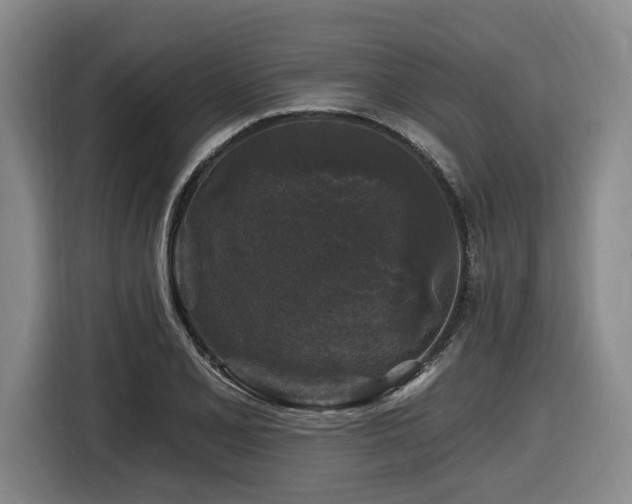 X0000116611077200912111129