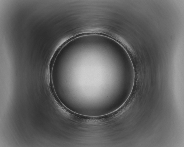 X0000116611079200912111129