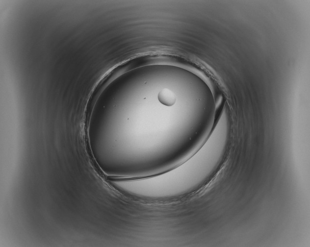 X0000116611081200912111129