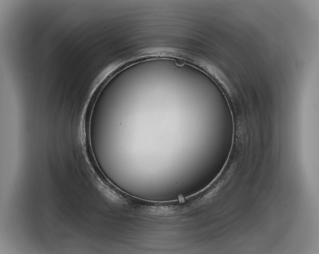X0000116611082200912111129
