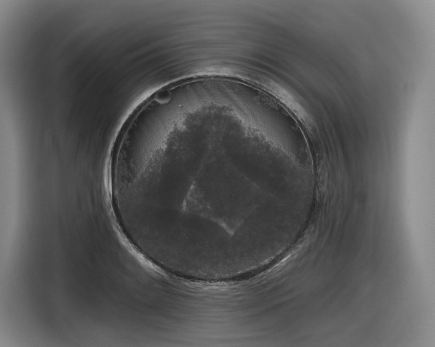 X0000116611084200912111129