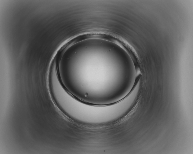X0000116611085200912111129