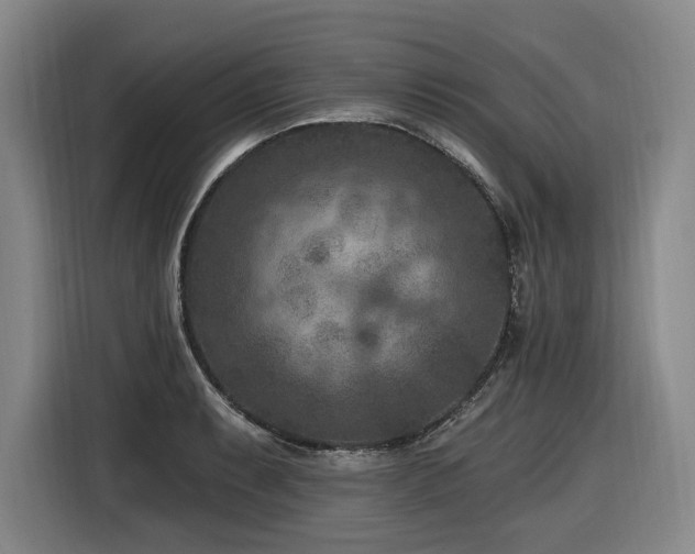 X0000116611087200912111129