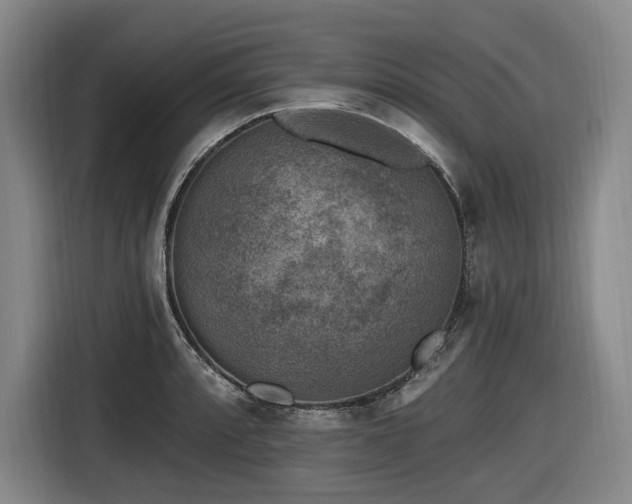 X0000116611088200912111129