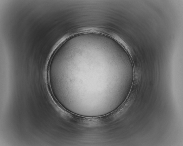 X0000116611090200912111129
