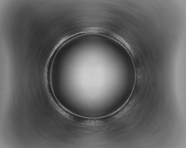 X0000116611091200912111129