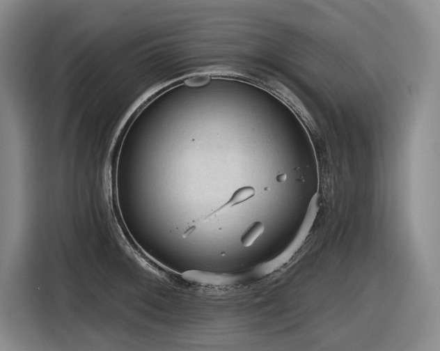 X0000116611092200912111129