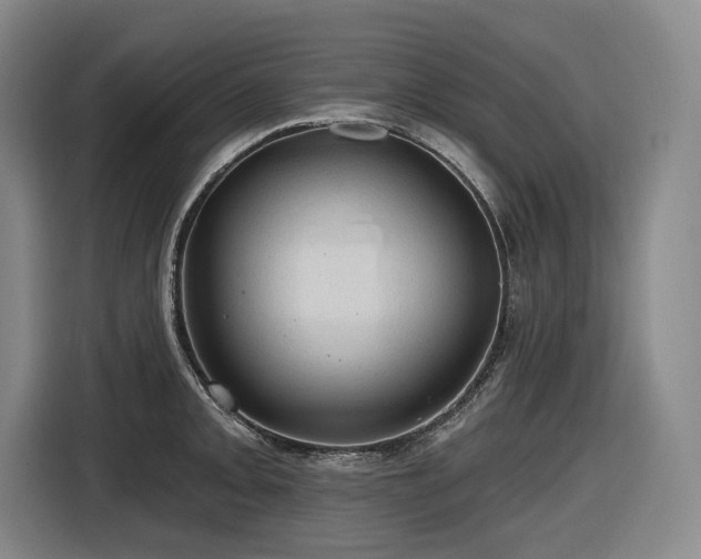 X0000116611093200912111129