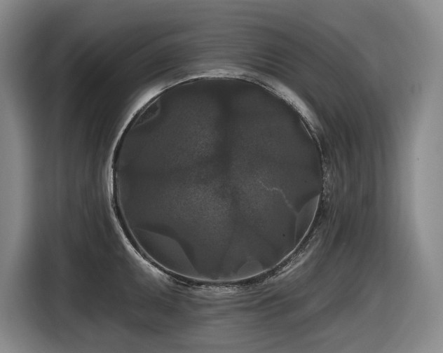 X0000116611095200912111129