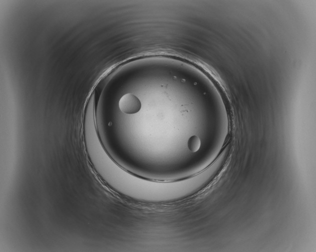 X0000116611097200912111129