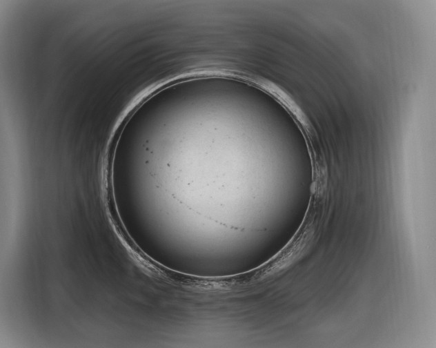 X0000116611101200912111129