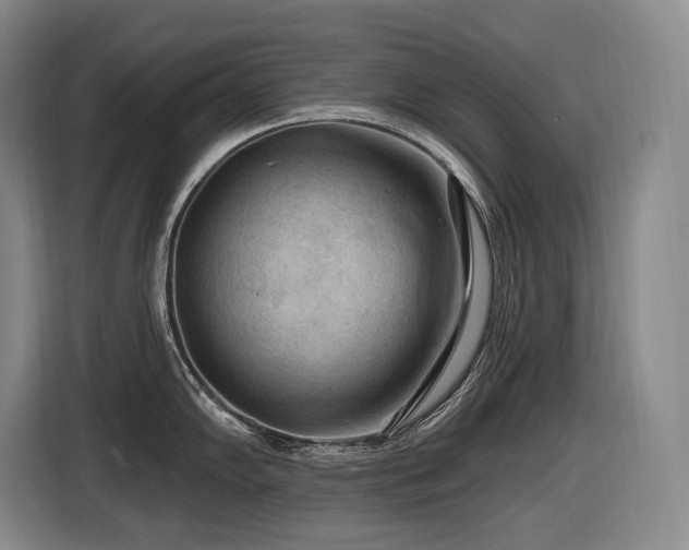 X0000116611102200912111129