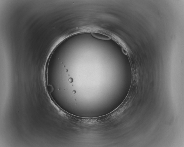 X0000116611103200912111129