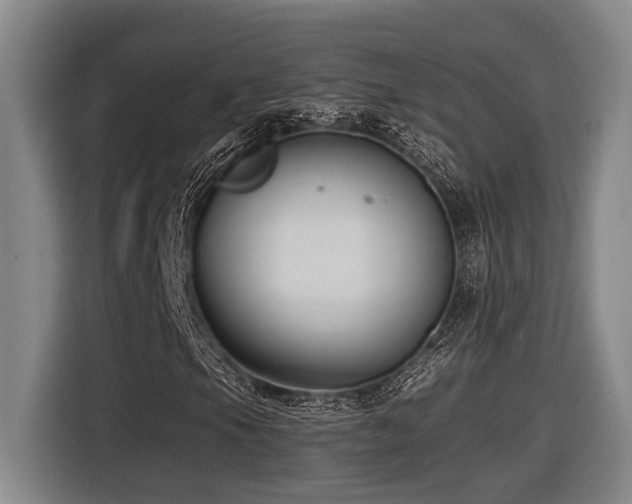 X0000116611105200912111128