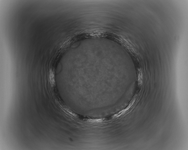 X0000116611106200912111128