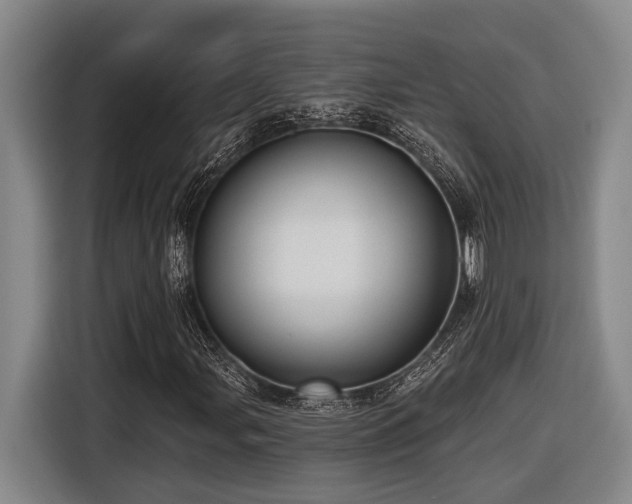 X0000116611107200912111128