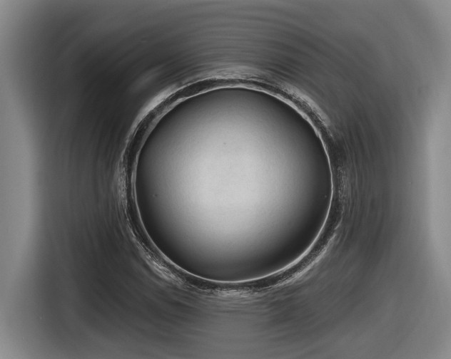 X0000116611114200912111128