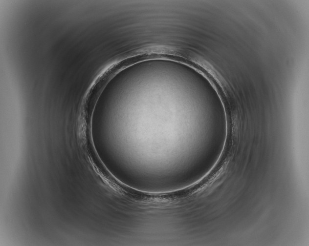 X0000116611115200912111128