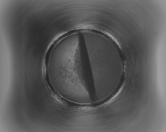 X0000116611117200912111128