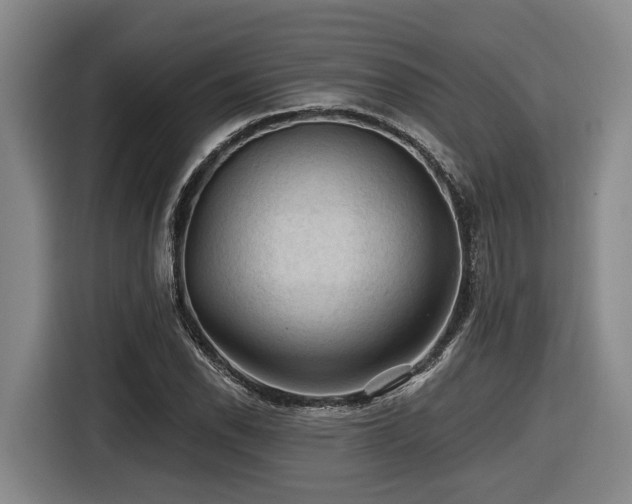 X0000116611118200912111128