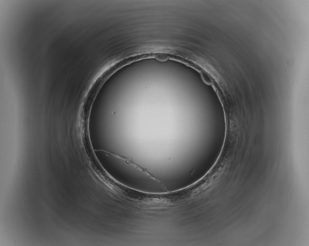 X0000116611119200912111128