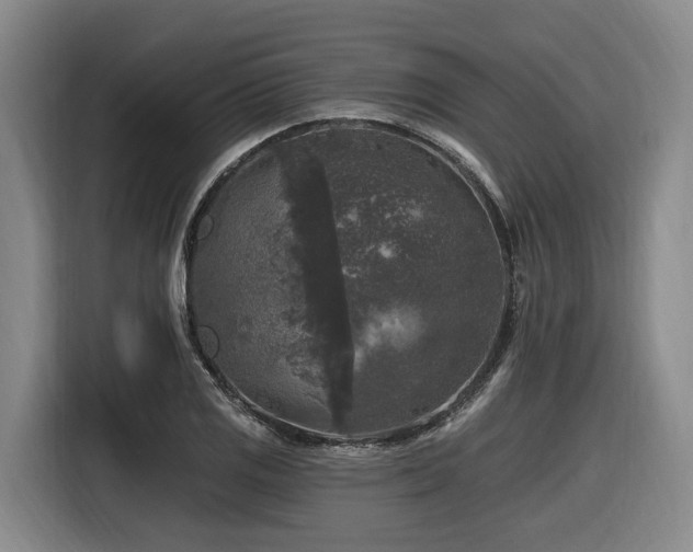 X0000116611125200912111129