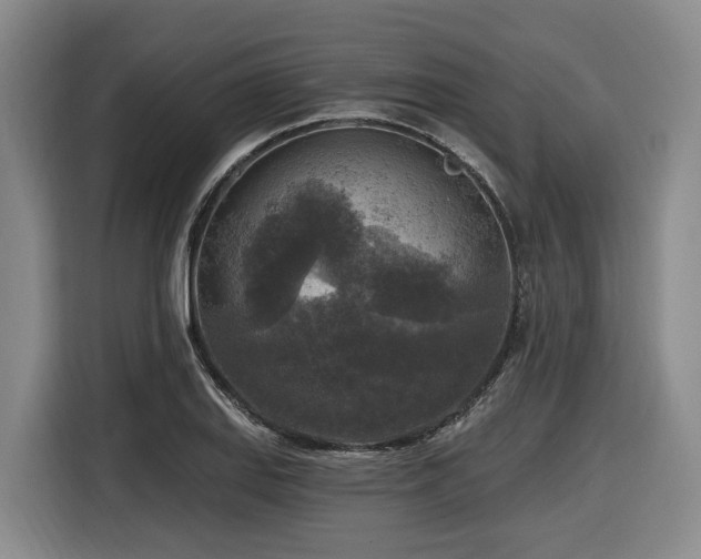 X0000116611127200912111129