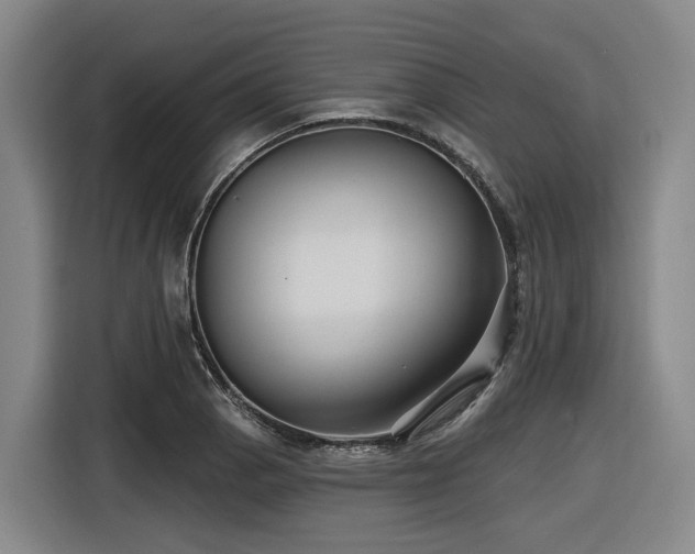 X0000116611129200912111129