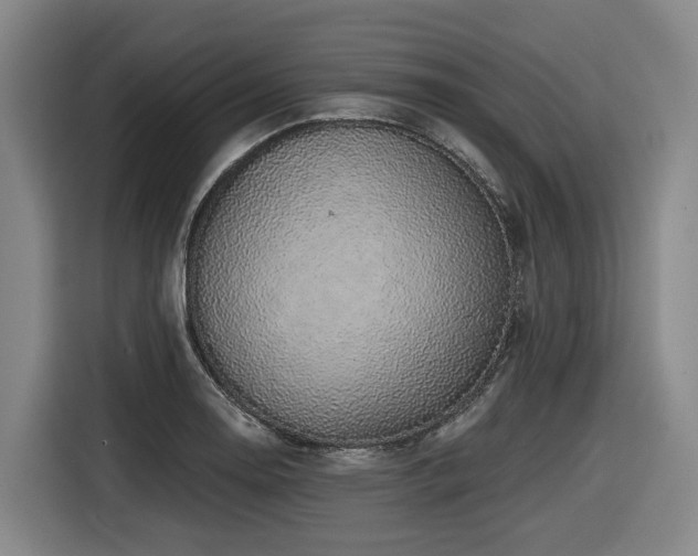 X0000116611130200912111129