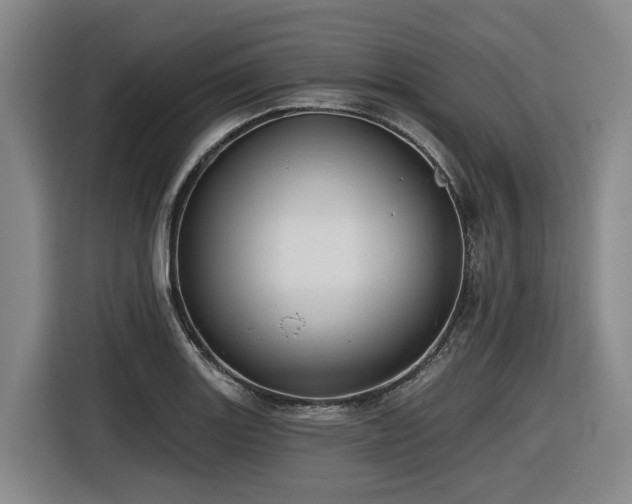 X0000116611131200912111129