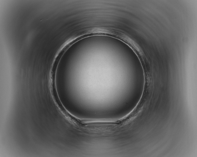 X0000116611133200912111129