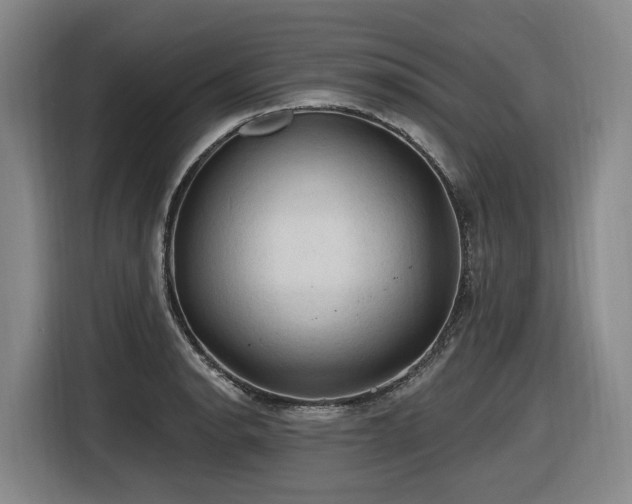 X0000116611134200912111129