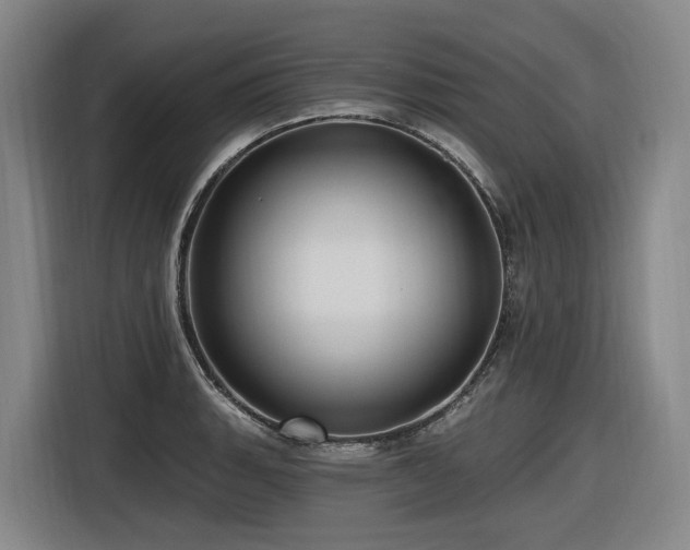 X0000116611135200912111129