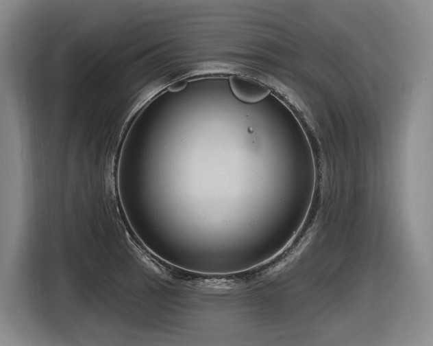 X0000116611137200912111129