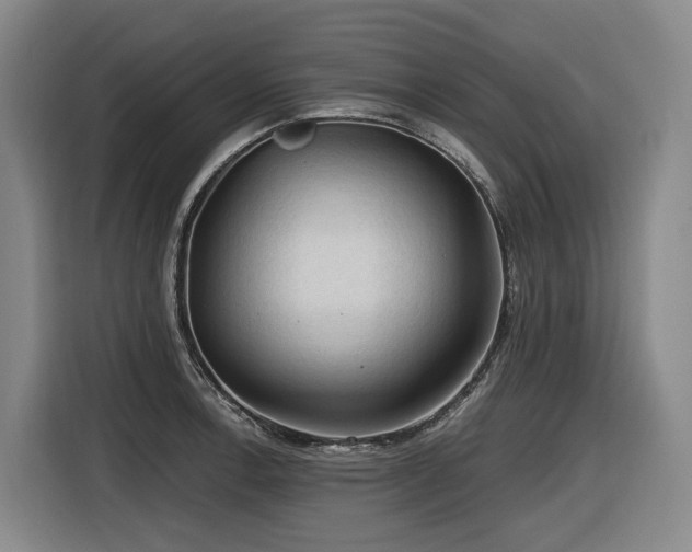 X0000116611138200912111129