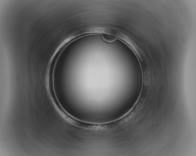 X0000116611139200912111129