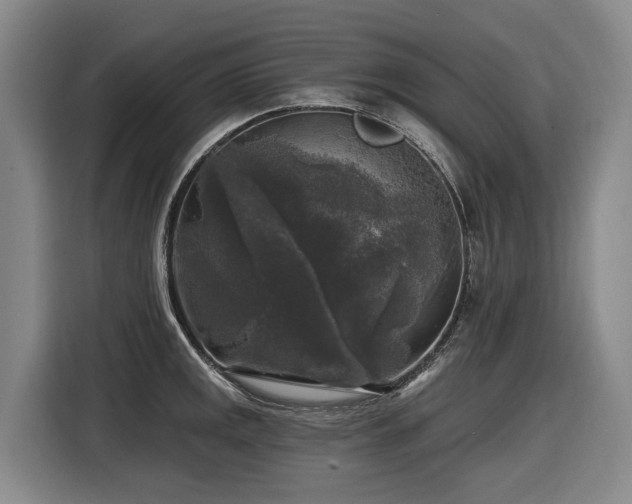 X0000116611141200912111129