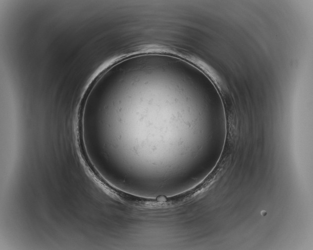 X0000116611142200912111129