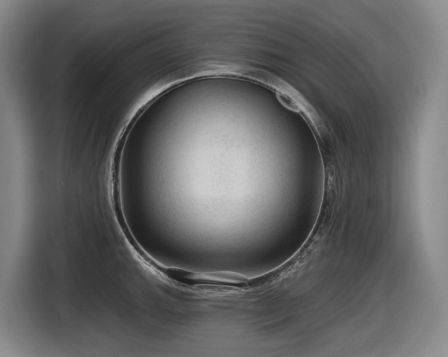 X0000116611143200912111129