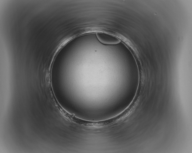 X0000116611145200912111129