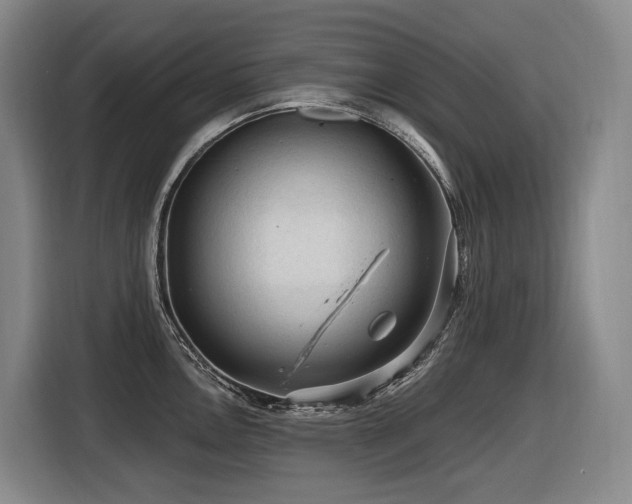 X0000116611146200912111129
