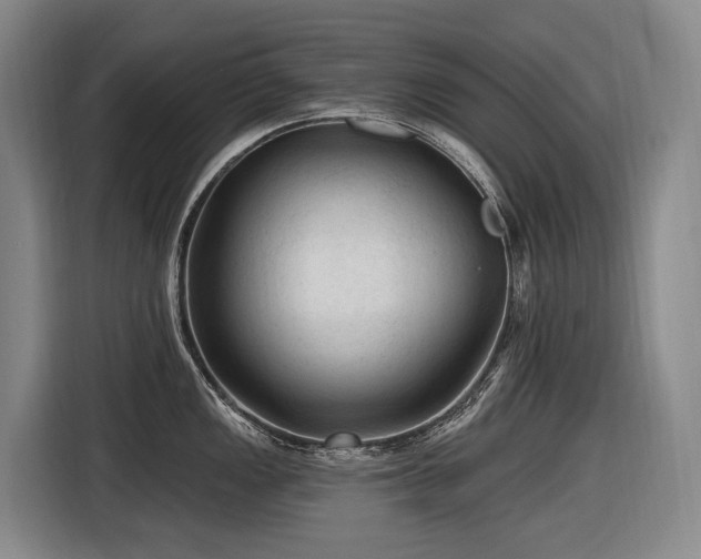 X0000116611149200912111129