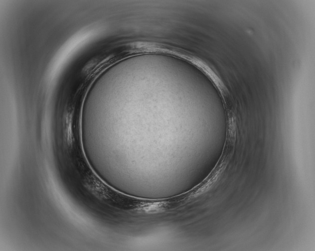 X0000116611150200912111129