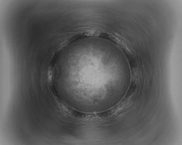 X0000116611154200912111128